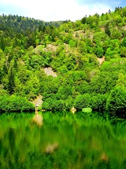 Europe, France, Great East region, Haut Rhin department, mountain lake