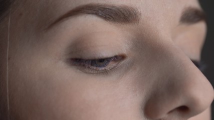 Natural Beauty. Beautiful woman with makeup posing at the camera