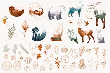 Set von minimalistischen Herbstobjekten im Stil einer Linie. Abstrakte Waldtiere, Baum, Pflanzen, Blatt. Bearbeitbare Vektorillustration. © miobuono