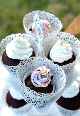 Set of different chocolate cupcakes decorated in white lace wrappers holders