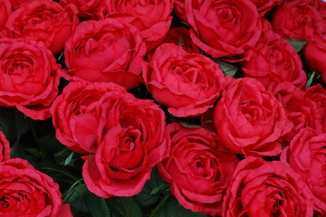 薔薇