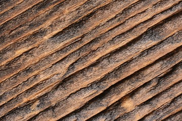 Fragment of an old wooden Board close-up. Wooden background 