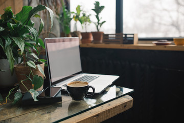 Blogger, freelancer modern workplace. Laptop with mock up screen, cell phone, cup of coffee and potted plants.