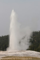 Old Faithful Geyser in Yellowstone National Park.