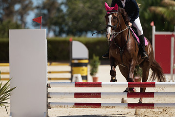 Sport horse jumping over a barrier on a obstacle 