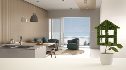 White table top or shelf with green plant in pot shaped like house, modern kitchen with island and living room background, interior design, real estate, eco architecture concept idea