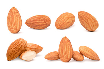 Closeup isolated collection of fresh almonds nut seed on white background.