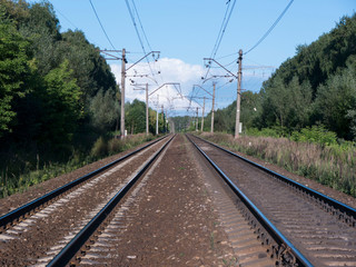Fototapeta premium Straight shiny steel railroad track surrounded with green trees and plants