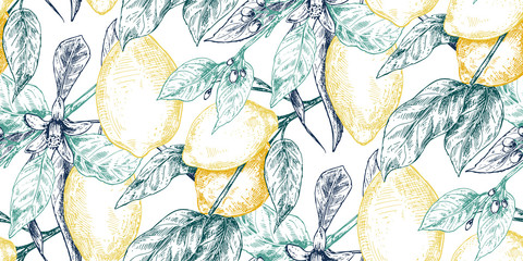 Vector seamless pattern with hand drawn fresh lemon tree branches, fruits and flowers in sketch style.