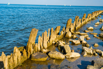 wooden posts covered in seaweed and rocks in sea.