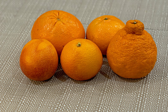 blood orange- dekopon mandarin - Seville orange - Murcott mandarin