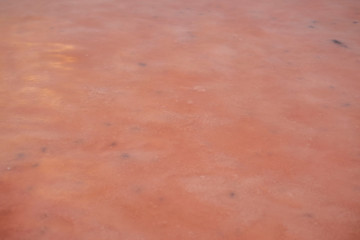 pink lake water texture