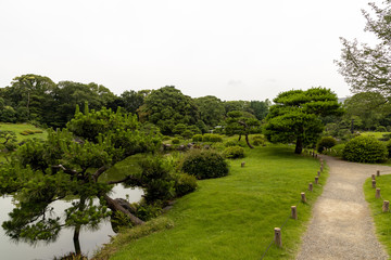 Fototapeta na wymiar 清澄庭園, 日本庭園
