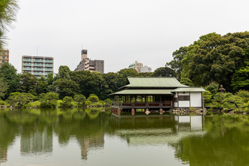 Obraz premium 清澄庭園, 日本庭園