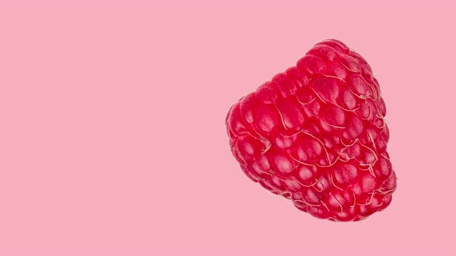 fresh ripe raspberry animated on a pink background close-up. seamless looping of realistic 3d food. minimal stop motion design art wit copy space
