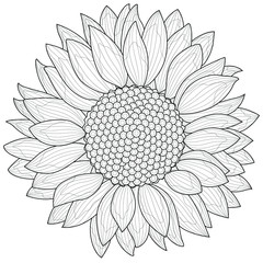 Sunflower.Coloring book antistress for children and adults. Zen-tangle style.Black and white drawing