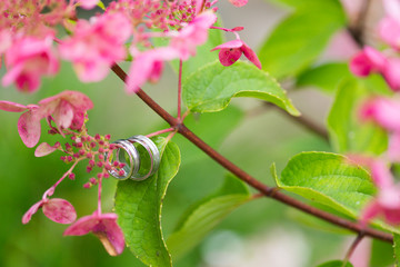 Silver or white gold or platinum wedding rings on the branch of pink the hydrangea bush