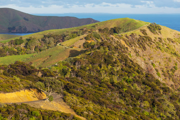 New Zealand coast