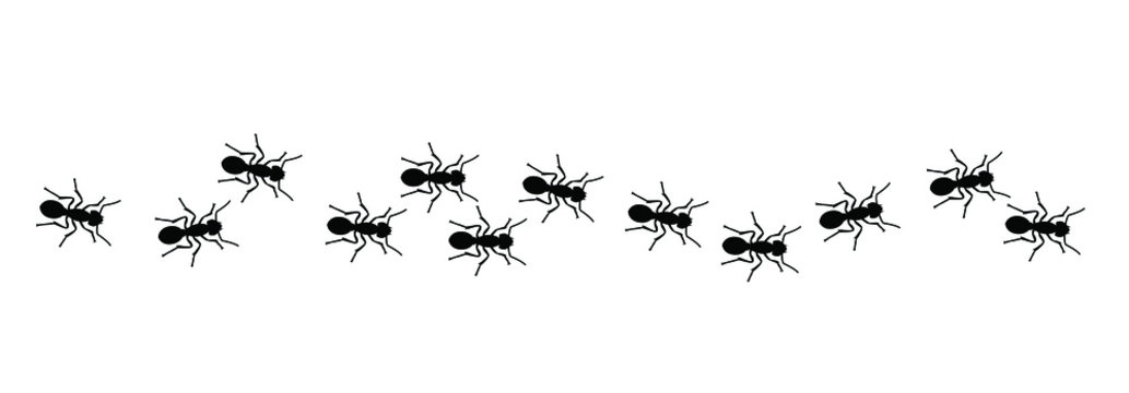 Insect, worker ants marching in search of food sign. Ants crawling, walking in a group or line. Vector seamless pattern of ants. Funny silhouette pictogram. Follow emmet pismire insects banner.
