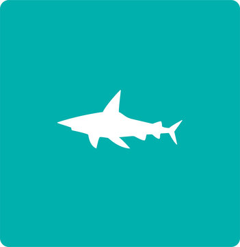 Shark icon for logo, decoration, animal sea rescue, web, apps