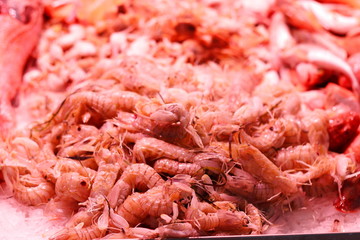 Shrimps and shellfish for sale in the Central Market of Valencia, Spain