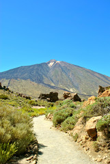 Mount Teide in Tenerife