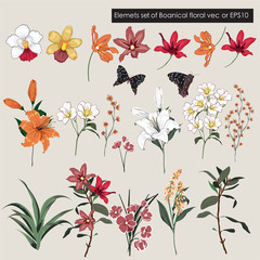 Vector Big Set garden floral elements - wildflower, meadow and leaf collection vector EPS10,  Hand drawn Illustration isolated on light cream background