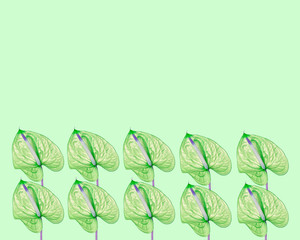 Green Anthurium on a green background six pieces, pattern, trend art.