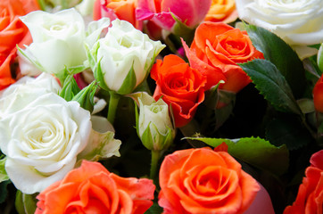 Obraz na płótnie Canvas Bouquet of small colorful roses