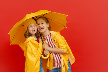 Kids with umbrella on colored background.