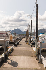 Alaskan Marina