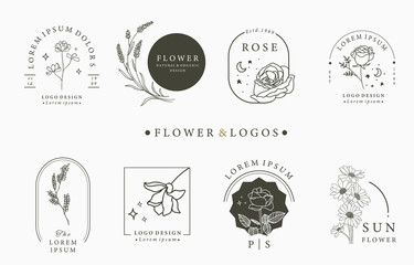 Beauty occult logo collection with geometric,rose,moon,star,flower.Vector illustration for icon,logo,sticker,printable and tattoo