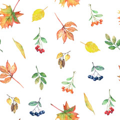 Watercolor seamless pattern with autumn elements. - 373269197