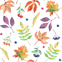Watercolor seamless pattern with autumn elements. - 373269351