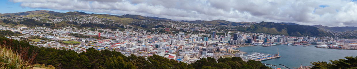 Fototapeta na wymiar Wellington Skyline in New Zealand