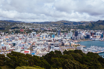 Wellington Skyline in New Zealand