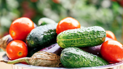 Autumn harvest of vegetables. eggplants, cucumbers, peppers, tomatoes on a blurred background. Autumn time.