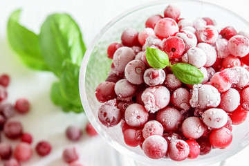 Frozen cranberries, leaves of basil close up on the white background. Macro photography.