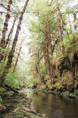 Obraz premium alaska