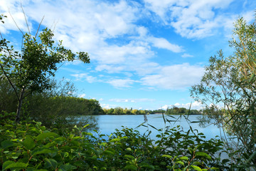 Summer landscape at the water's edge. View of a sunny lake with vegetation in the foreground.