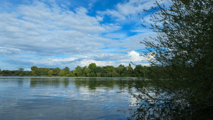 Summer landscape at the water's edge. View of a sunny lake with vegetation in the foreground.