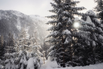 Tatry