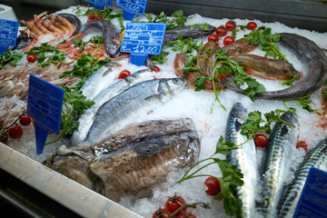 イタリアの魚市場