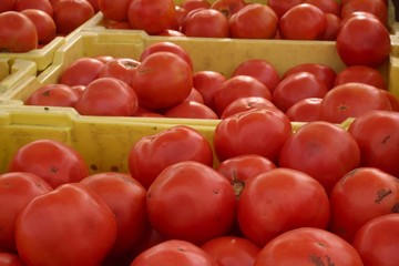 Baskets of tomatoes in yellow baskets set up at a farmer's market