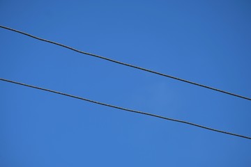 High-current electric cables stretched across electric poles