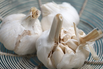 Knoblauch Gemüse Pflanze Gesund Garten Hochbeet
