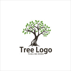 Obraz premium oak tree logo design template silhouette vector