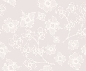 Paper texture background, real cardboard pattern