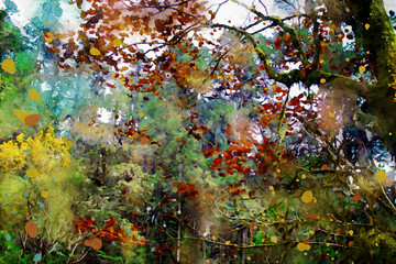 Trees in autumn with colorful leaves, fall season image, digital watercolor painting