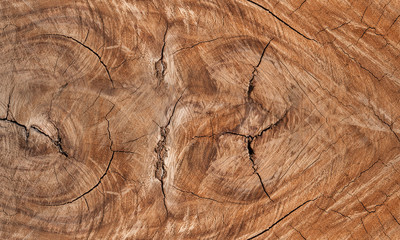 Natural wood background texture in brown